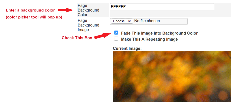 checkbox for fading the image into background color