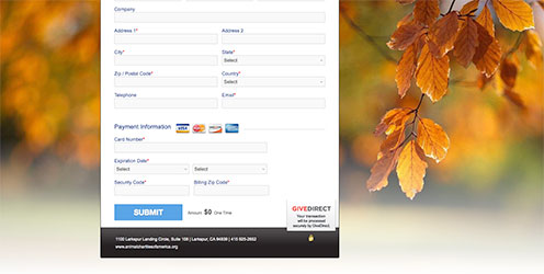 fundraising form with background image