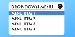 image of a dropdown menu